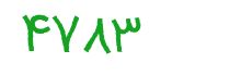 security code