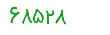 security code