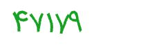 security code