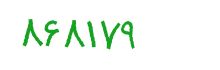 security code