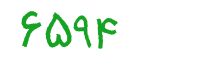 security code