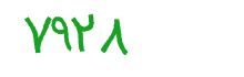 security code