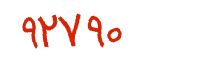 security code