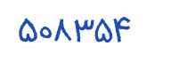 security code