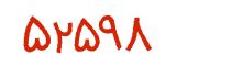 security code