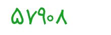security code