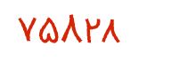 security code