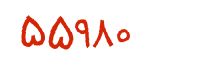 security code
