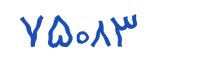 security code