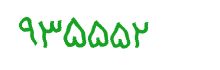 security code