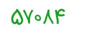 security code
