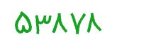 security code