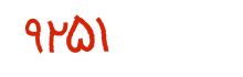 security code