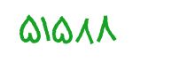 security code