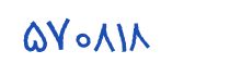 security code
