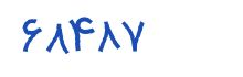 security code