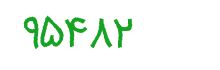 security code