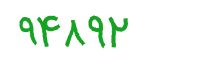 security code