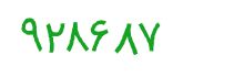 security code
