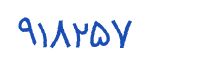 security code