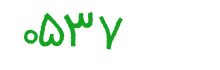 security code