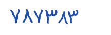 security code