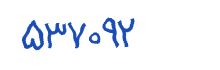 security code