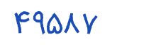 security code