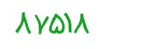 security code