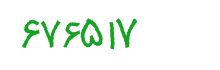 security code