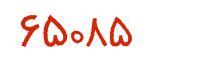 security code