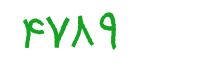security code