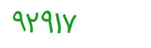 security code