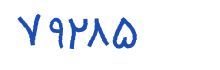 security code