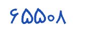 security code