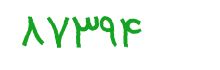 security code
