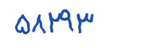 security code