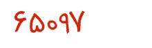 security code