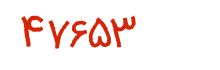 security code