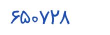 security code