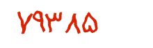 security code