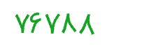 security code